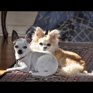 Meet your Posher, Nancy